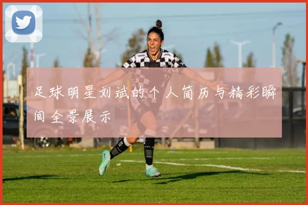 足球明星刘斌的个人简历与精彩瞬间全景展示