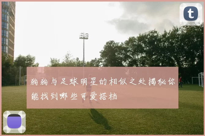 狗狗与足球明星的相似之处揭秘你能找到哪些可爱搭档
