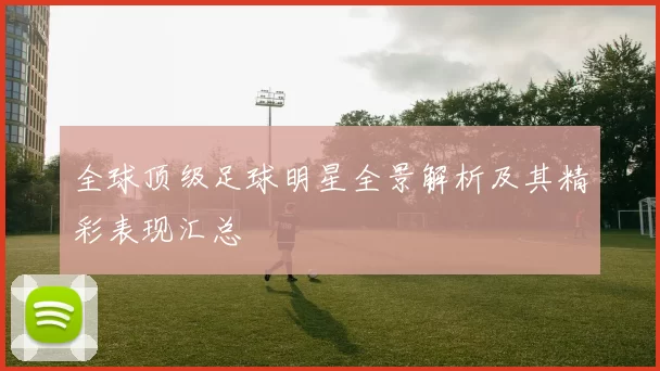 全球顶级足球明星全景解析及其精彩表现汇总