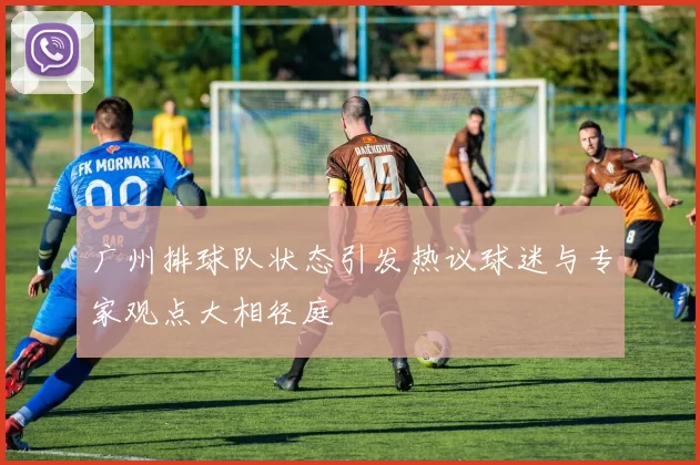 广州排球队状态引发热议球迷与专家观点大相径庭