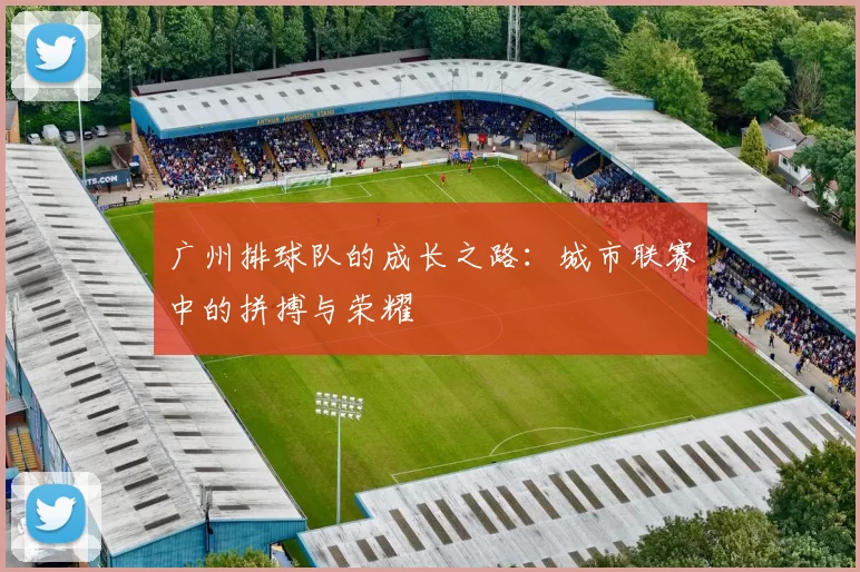 广州排球队的成长之路：城市联赛中的拼搏与荣耀