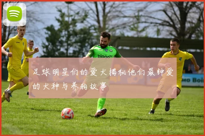 足球明星们的爱犬揭秘他们最钟爱的犬种与养狗故事