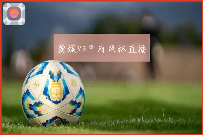 爱媛vs甲府风林直播