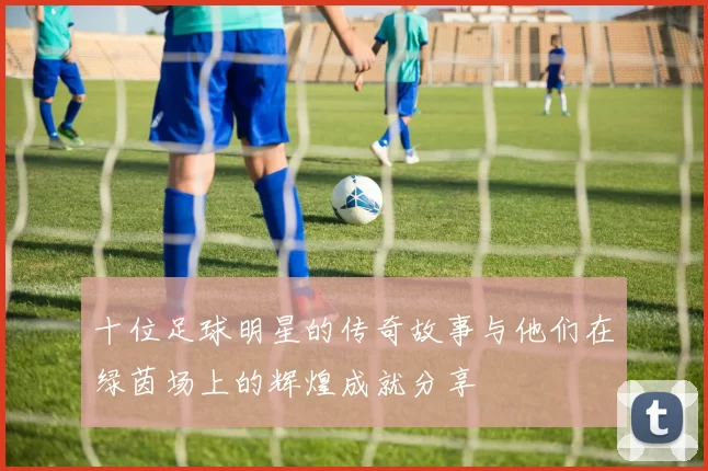 十位足球明星的传奇故事与他们在绿茵场上的辉煌成就分享