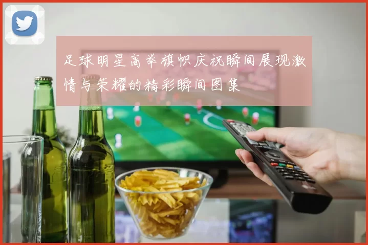 足球明星高举旗帜庆祝瞬间展现激情与荣耀的精彩瞬间图集