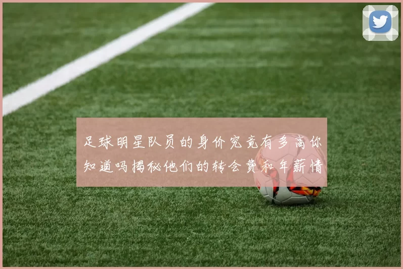 足球明星队员的身价究竟有多高你知道吗揭秘他们的转会费和年薪情况