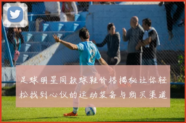 足球明星同款球鞋价格揭秘让你轻松找到心仪的运动装备与购买渠道